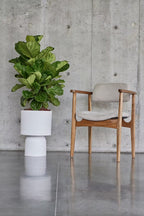Silla NODEN