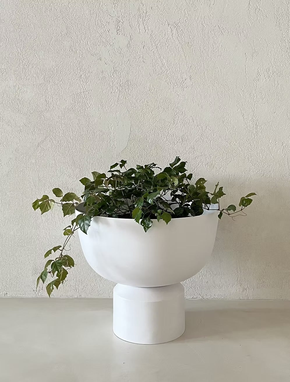 Matera FIORA MEDIA ANCHA